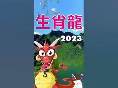 2023 水兔